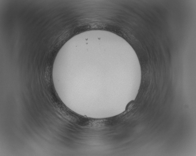 X0000060240078200511241345