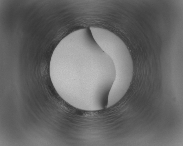 X0000060240079200511241345