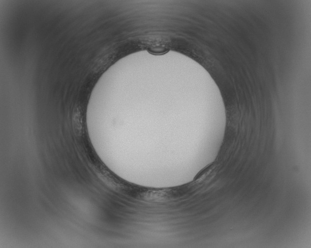 X0000060240086200511241345