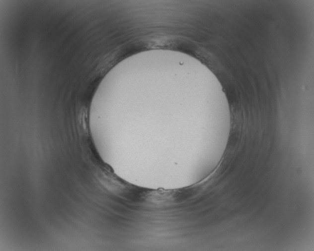 X0000060240094200511241345