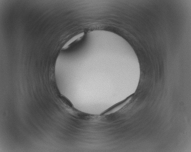 X0000060240096200511241345