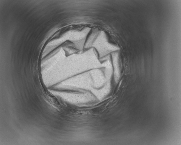X0000060240099200511241344