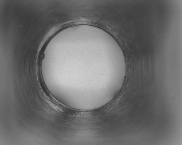 X0000060240102200511241344