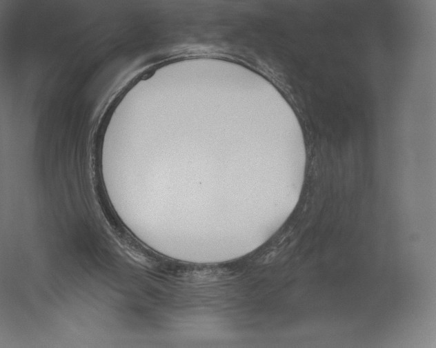 X0000060240103200511241344