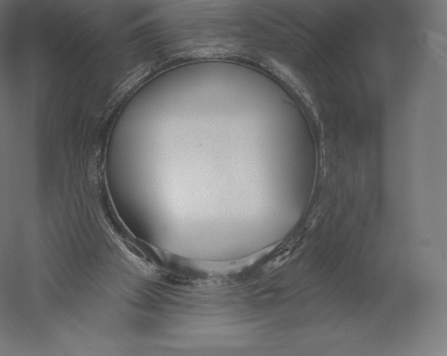 X0000060240105200511241344