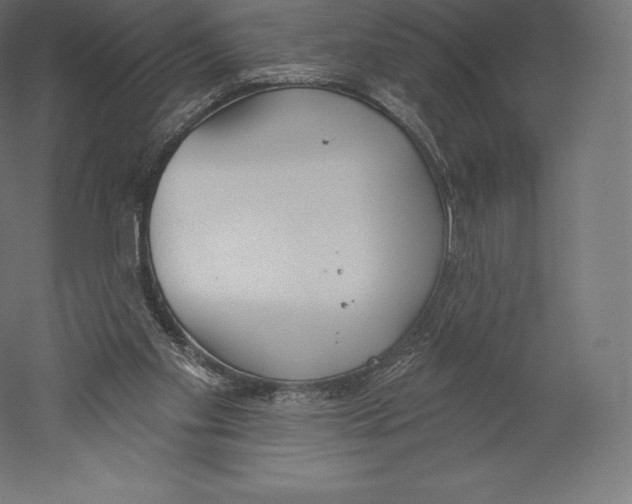 X0000060240109200511241344