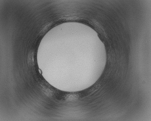X0000060240115200511241344