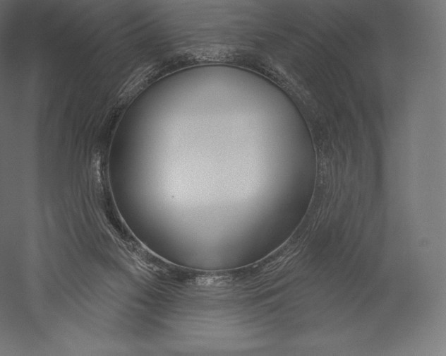 X0000060240117200511241344