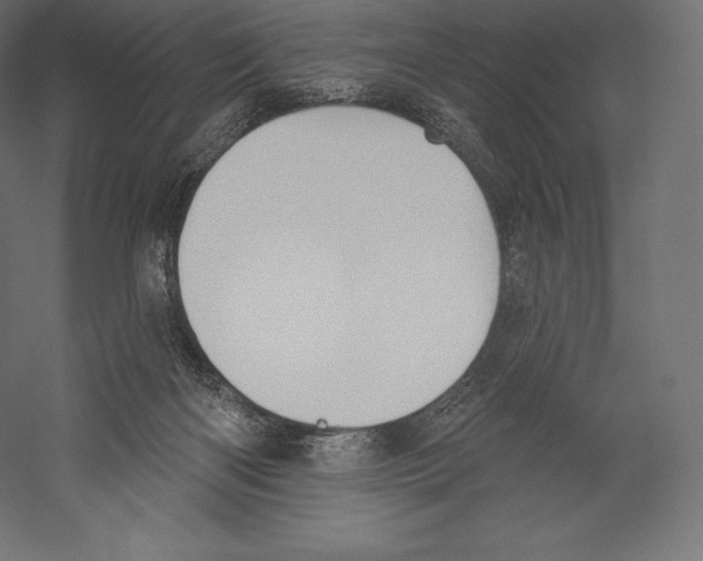 X0000060240122200511241344