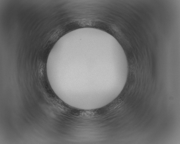 X0000060240125200511241344