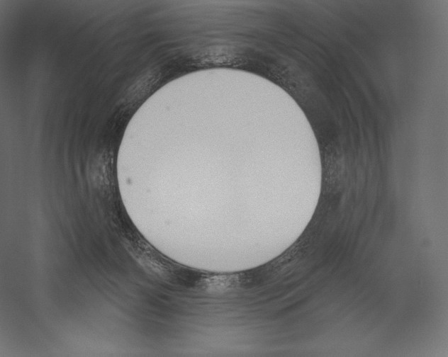 X0000060240126200511241344