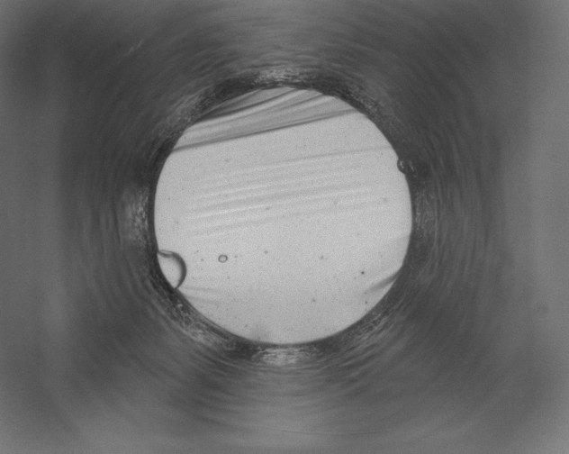 X0000060240127200511241344