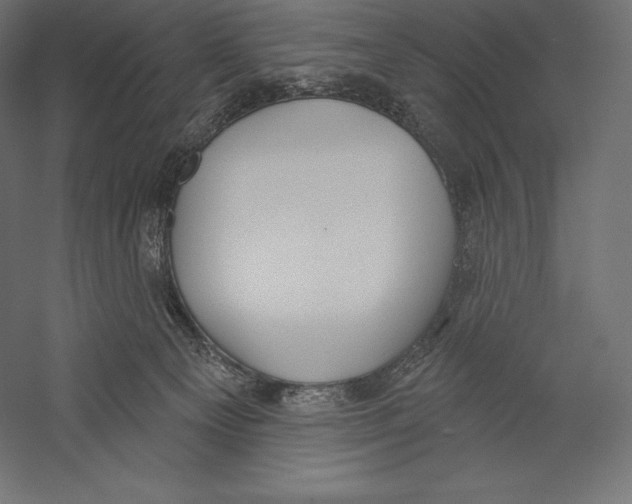 X0000060240129200511241344