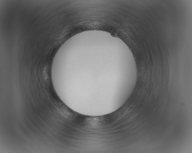 X0000060240131200511241344