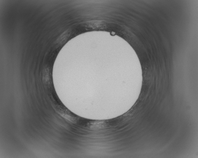 X0000060240132200511241344