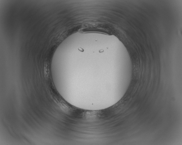 X0000060240134200511241344