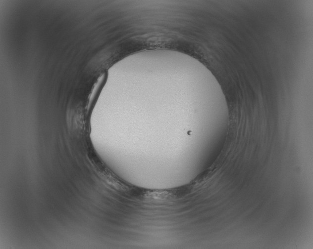 X0000060240137200511241343