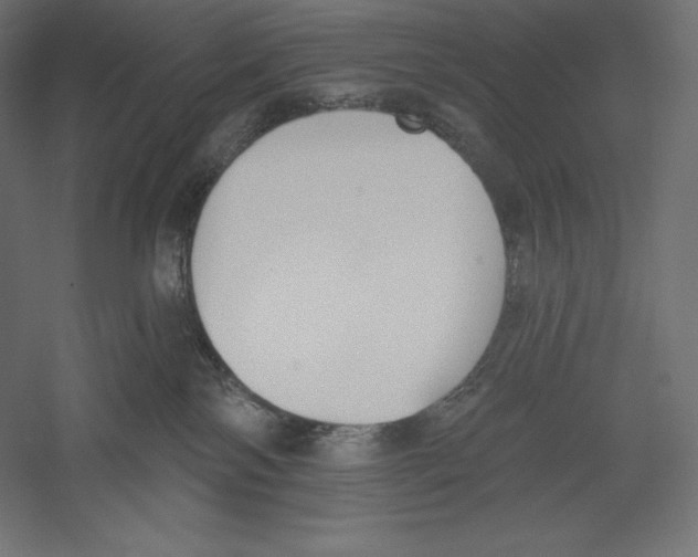 X0000060240138200511241343