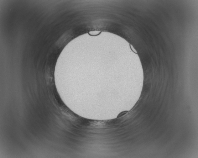 X0000060240140200511241343