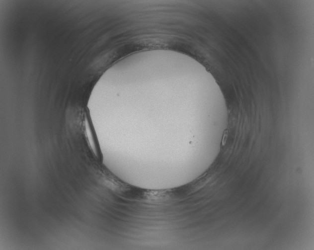 X0000060240141200511241343