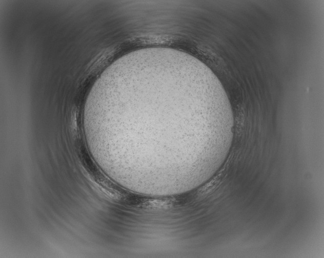 X0000060240166200511241343