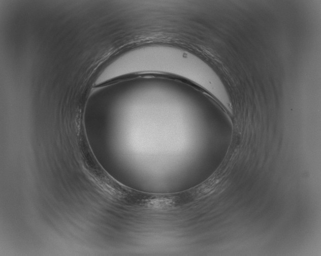 X0000060240168200511241343