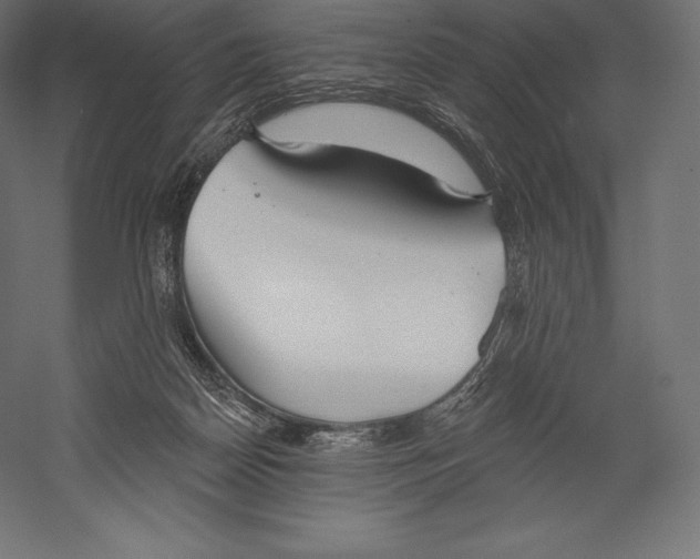 X0000060240170200511241343