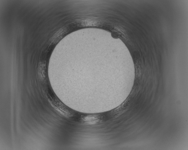 X0000060240171200511241343
