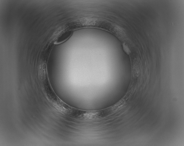 X0000060240172200511241343