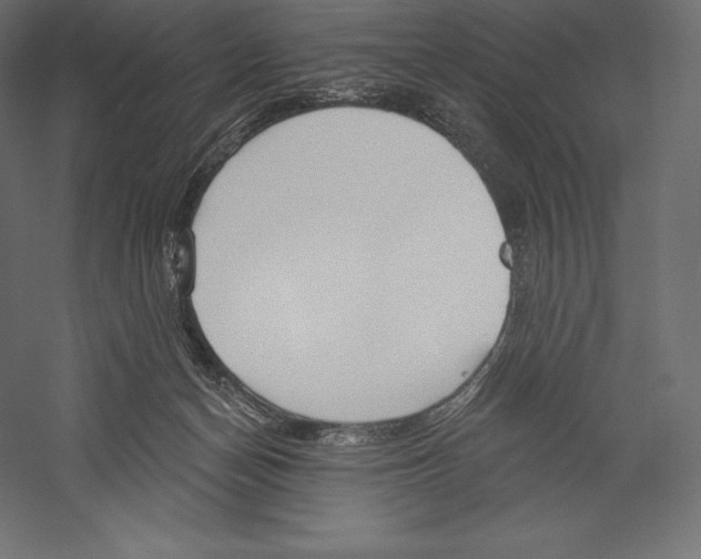 X0000060240174200511241343