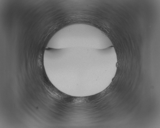 X0000060240175200511241343