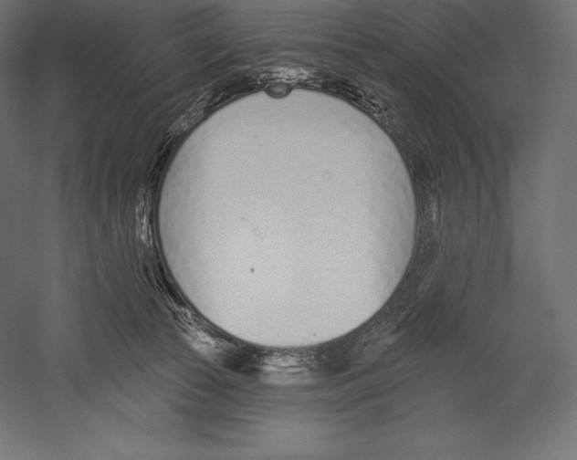 X0000060240177200511241343