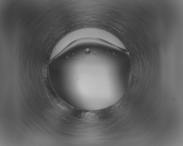 X0000060240180200511241343