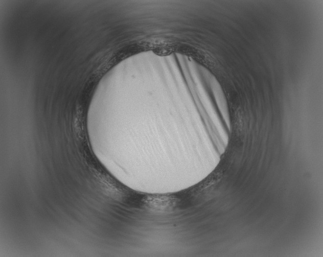 X0000060240181200511241343