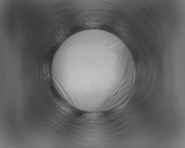 X0000060240182200511241343