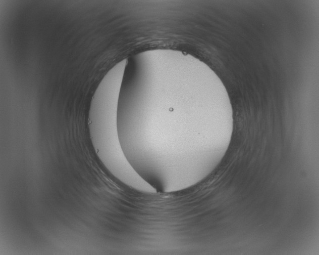 X0000060240185200511241343
