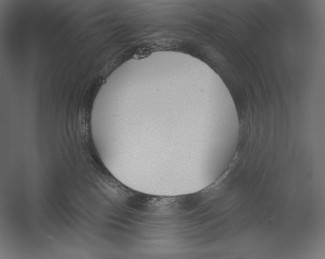 X0000060240186200511241343