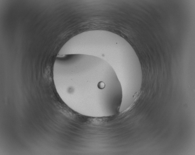 X0000060240187200511241343