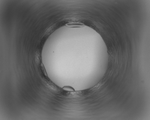 X0000060240188200511241343