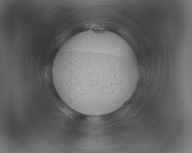 X0000060240189200511241343