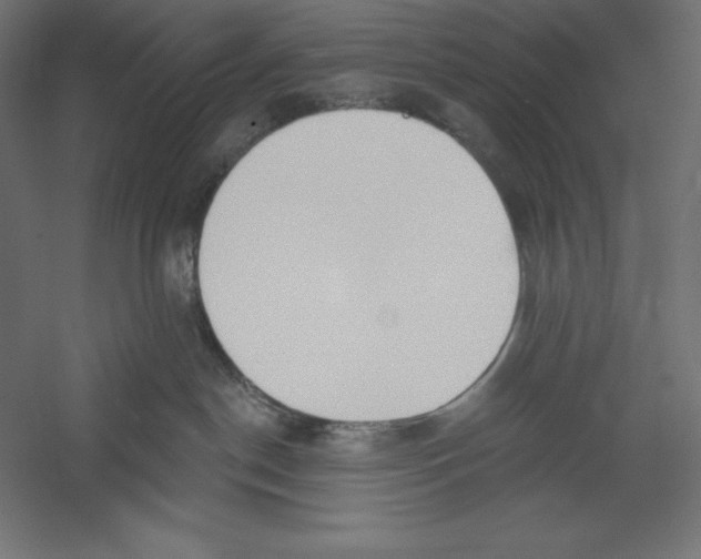 X0000060240190200511241343