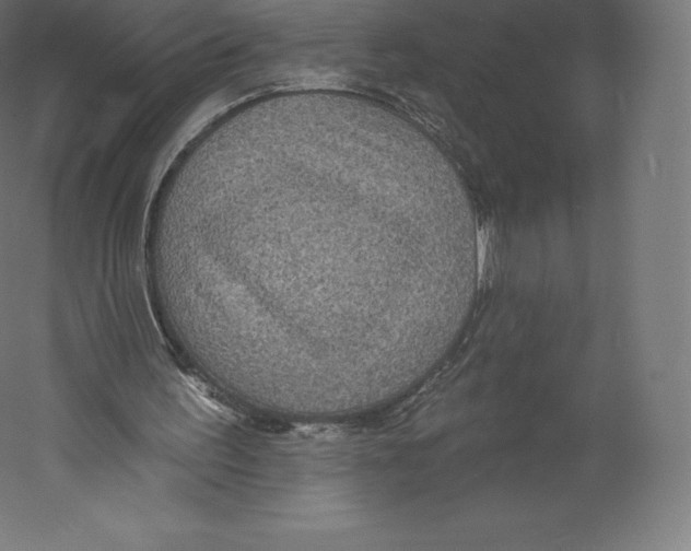 X0000060240195200511241342