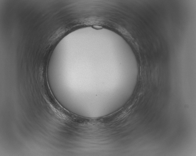 X0000060240201200511241342