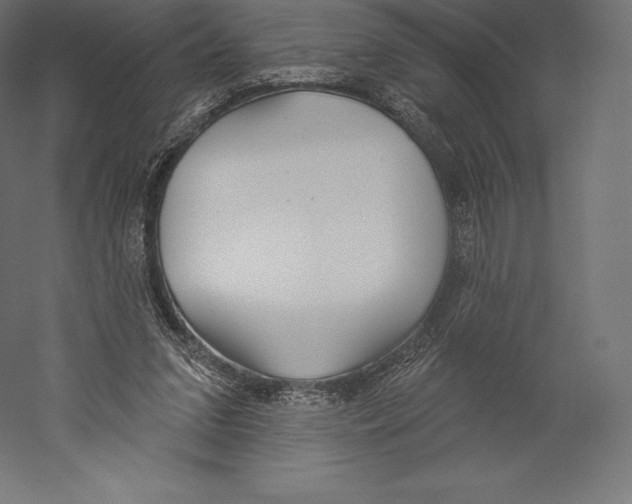 X0000060240207200511241342