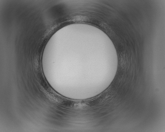 X0000060240208200511241342