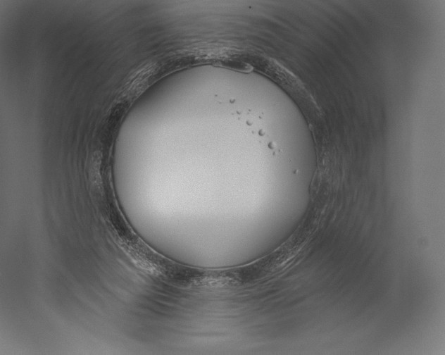 X0000060240209200511241342