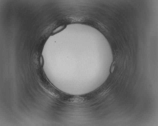 X0000060240215200511241342
