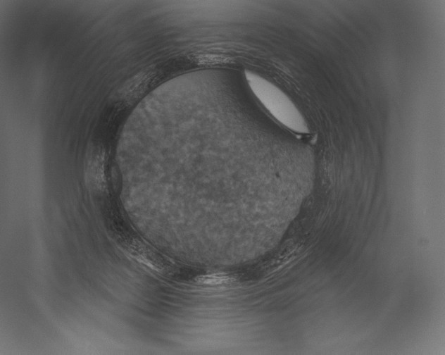 X0000060240219200511241342