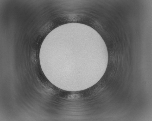 X0000060240220200511241342