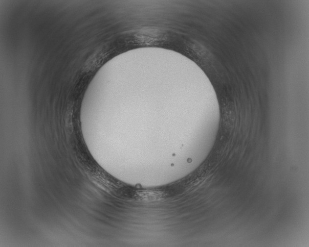 X0000060240221200511241342